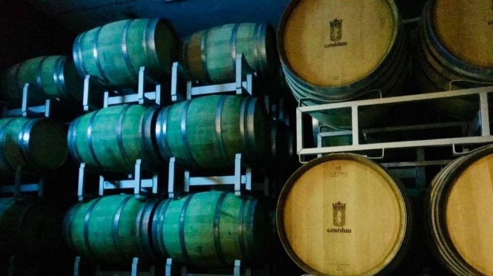From Argostoli: Private Wine Tasting & Vineyard Tour - Itinerary and Locations