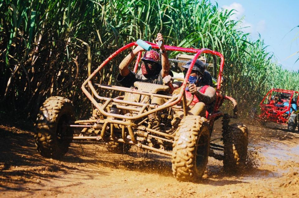 From Bayahibe: Half-day La Romana ATV or 4X4 Buggy Tour - Pickup and Transportation