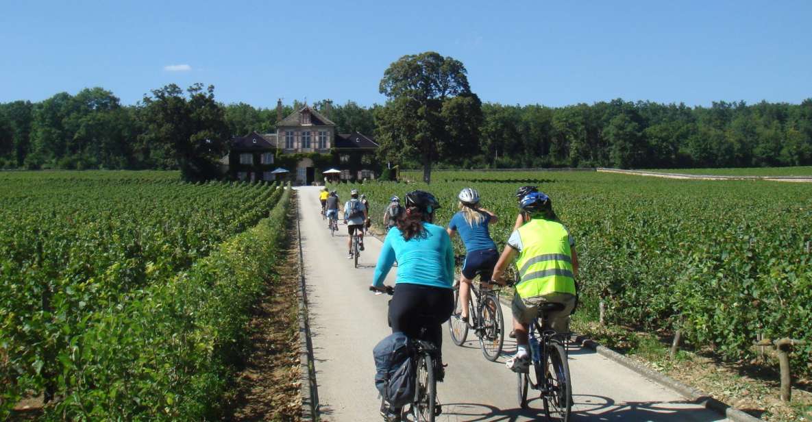 From Beaune: Full-Day Bicycle and Wine Tour in Burgundy - Experience Highlights