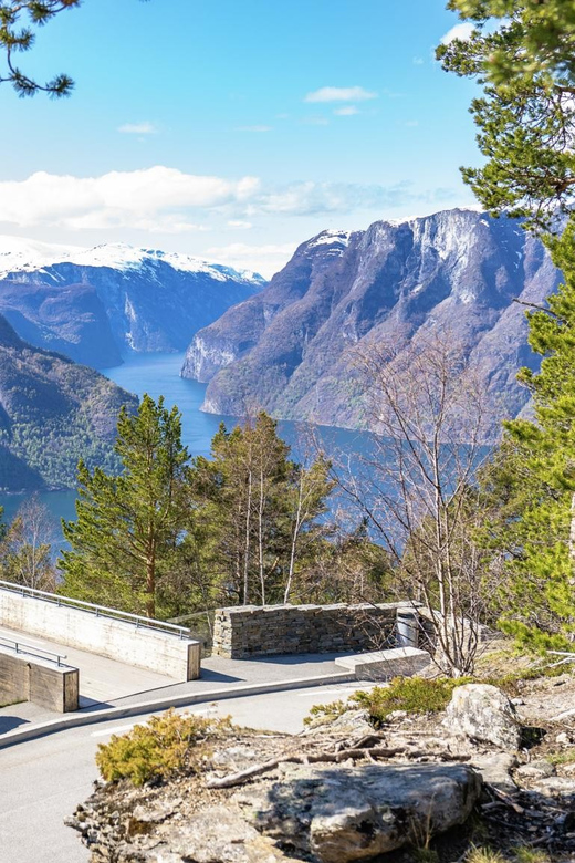 From Bergen: Day Trip With Flam Railway and Fjord Cruise - Activities and Attractions