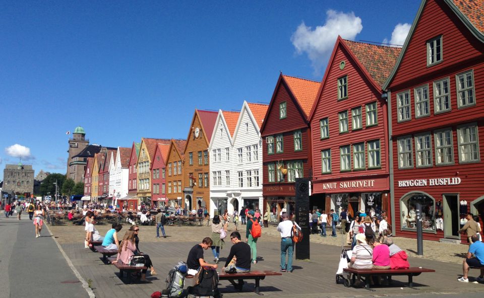 From Bergen: Private Tour to Sognefjord, Gudvangen, & Flåm - Itinerary Highlights
