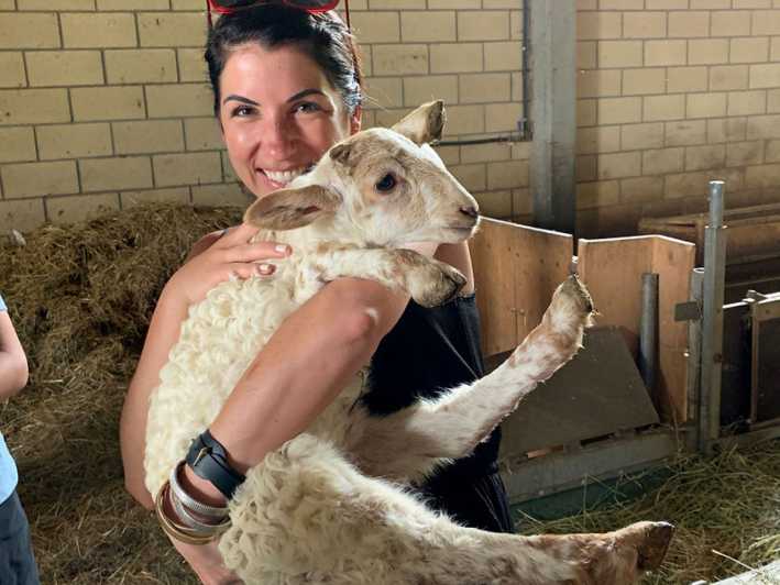 From Bilbao: San Sebastian and Basque Cheese Farm Tour - Experience Highlights