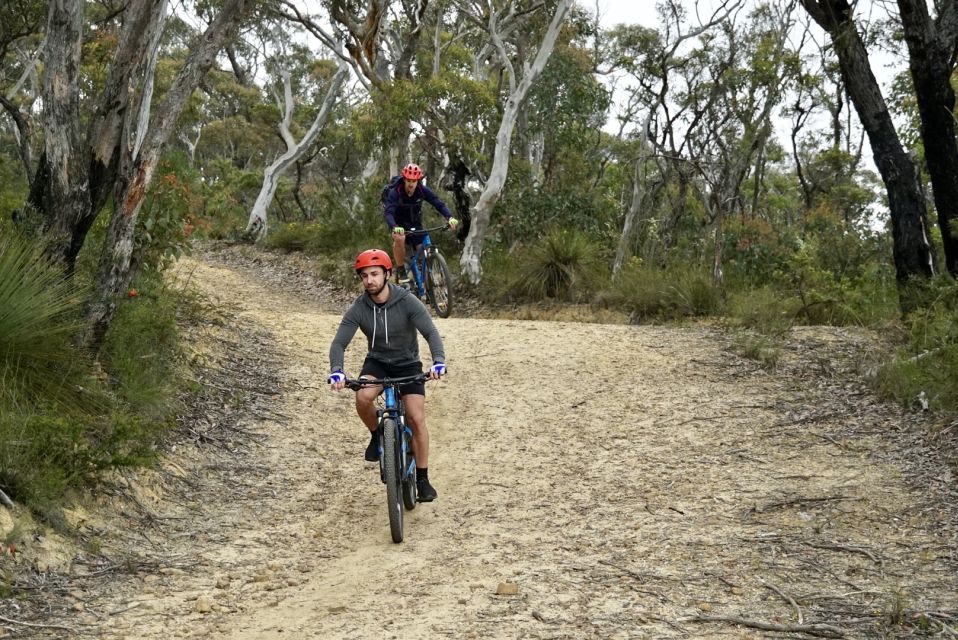 From Blue Mountains: Mountain E-Bike Ride, Hanging Rock - Description