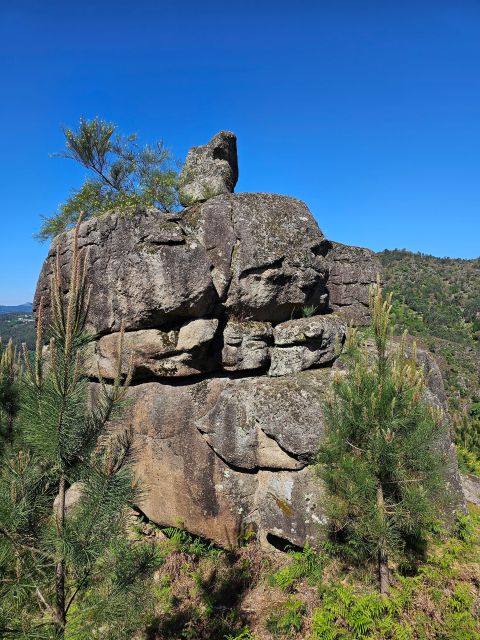 From Braga: Full-Day Tour in Gerês National Park - Activity Description