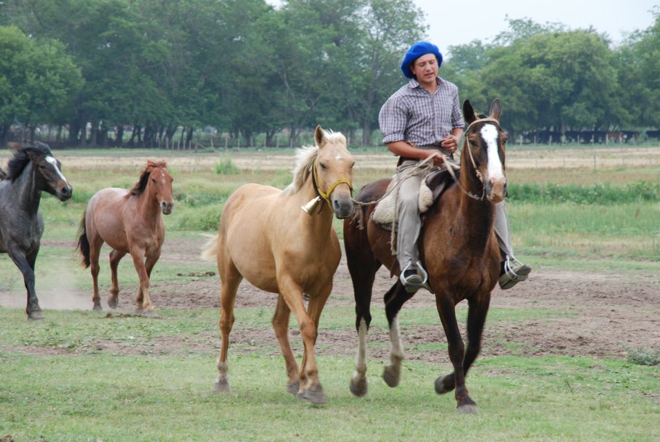 From Buenos Aires: Don Silvano Ranch Tour With Lunch. - Itinerary Details