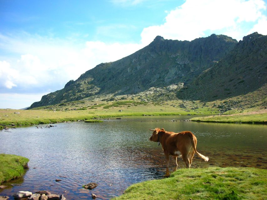 From Centro: Guadarrama National Park Private Tour - Itinerary Highlights