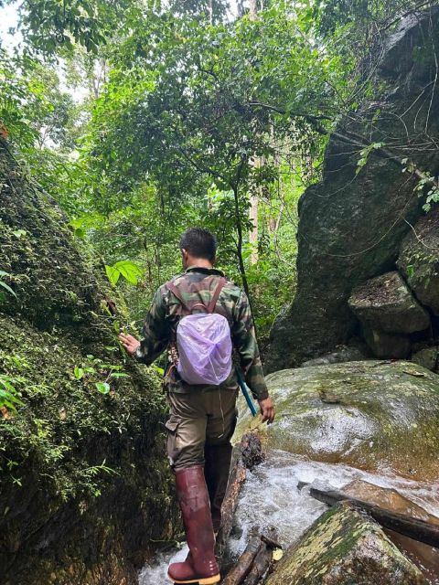 From Chiang Mai: Doi Saket Hiking Tour With Lunch - Jungle Exploration