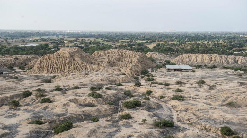 From Chiclayo: Tucume Pyramids and Las Balsas Huaca - Pricing and Booking Details