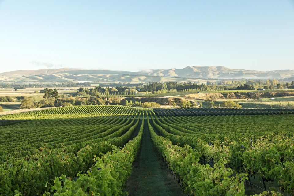 From Christchurch: Guided Local Wine Tours in Waipara - Tour Duration and Language