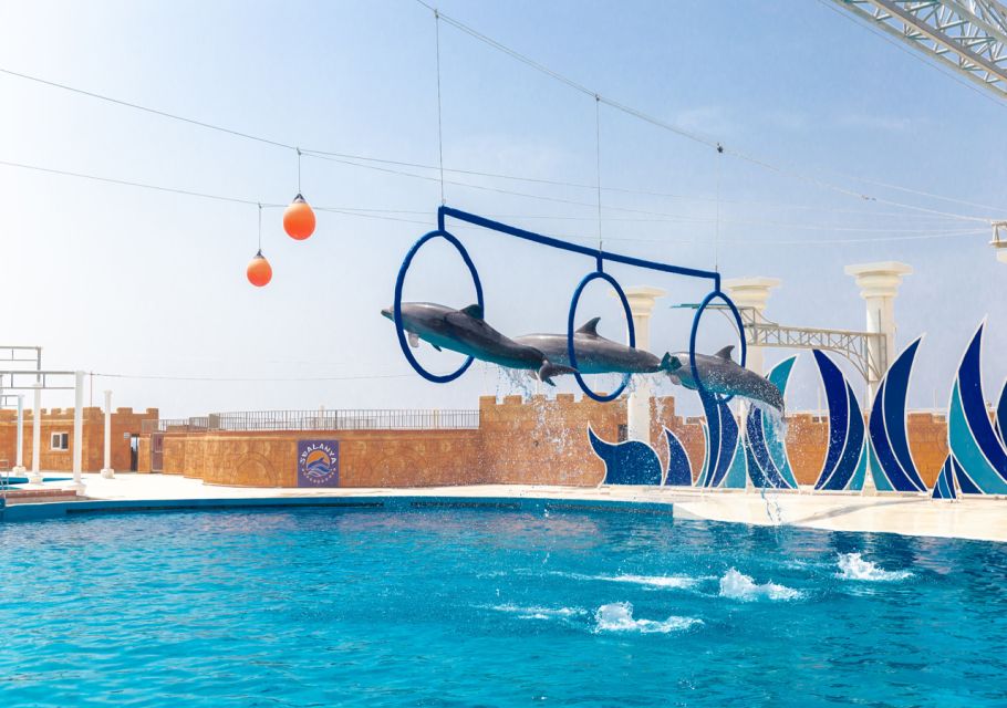 From City of Side/Alanya: Sealanya Dolphin Show W/ Transfers - Pricing Information