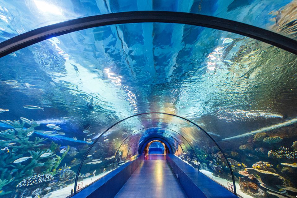 From City of Side: Antalya Aquarium Tour, Ticket & Transfer - Kalpuzkaldıra Waterfall Experience