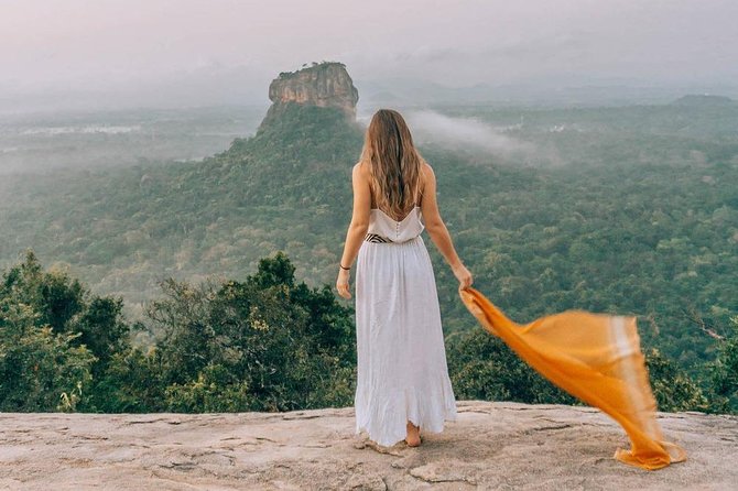 From Colombo to Sigiriya Lion Rock & Minneriya Half Day Safari - Inclusions and Amenities