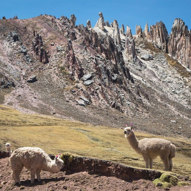 From Cusco: Palccoyo Rainbow Mountain Trek Tour - Unique Natural Features