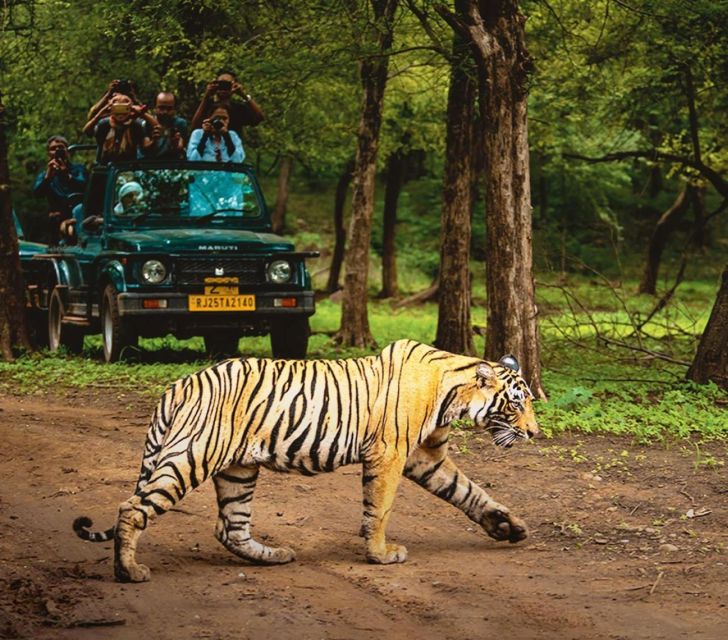 From Delhi: 5 Day Golden Triangle & Ranthambore Tiger Safari - Highlights of Ranthambore