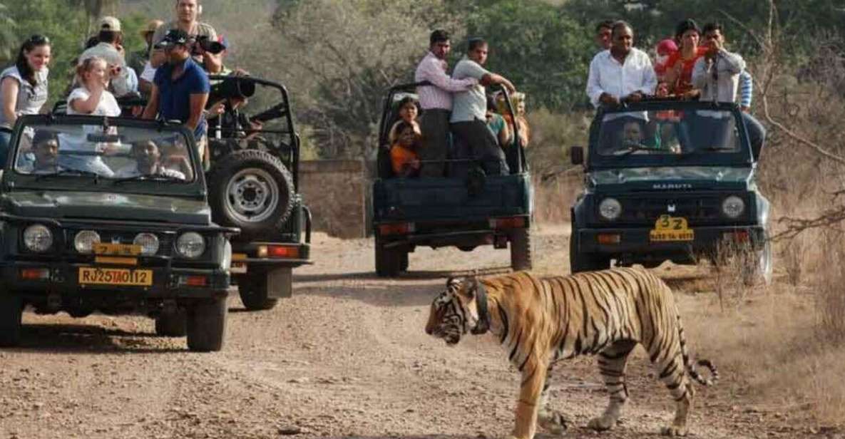 From Delhi: 7-Day Golden Triangle Trip & Ranthambore Safari - Itinerary Highlights