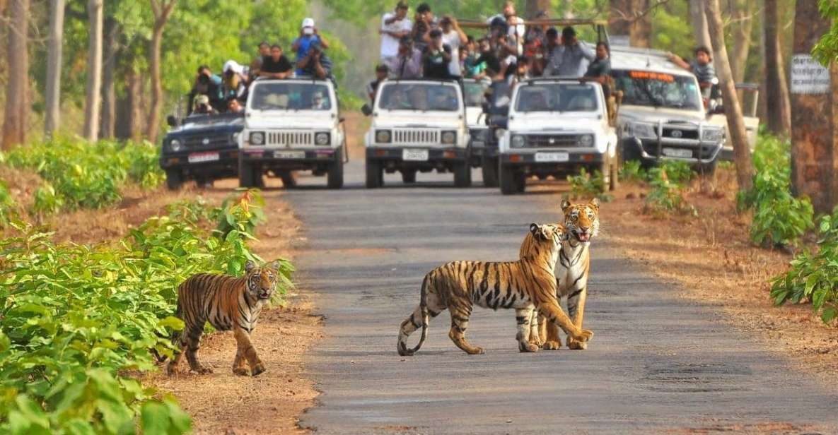 From Delhi: Jim Corbett National Park Tour by Car - Wildlife Experience Highlights