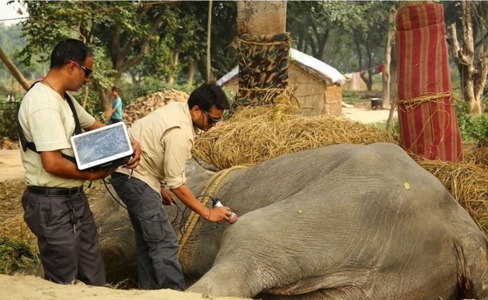 From Delhi: Trip to Taj Mahal, Wildlife SOS and Agra Fort - Itinerary Highlights