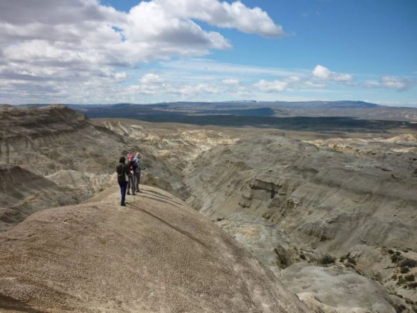 From El Calafate: La Leona Petrified Forest Day Trip - Itinerary Highlights