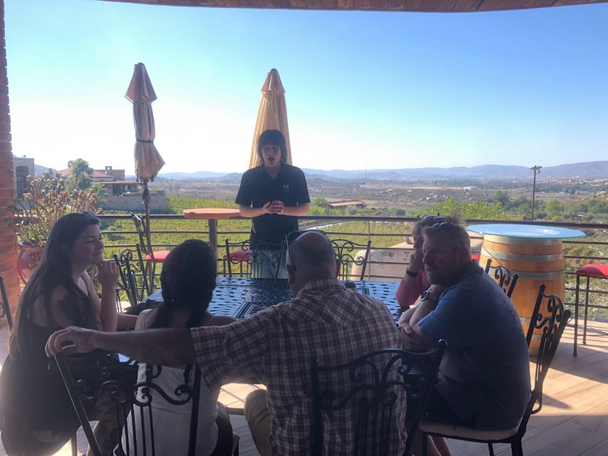 From Ensenada: Wine Tasting at Guadalupe Valley Ensenada - Inclusions