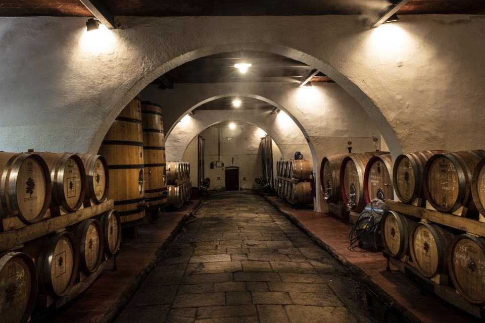 From Florence: Chianti Rufina Private Tour And Food Tasting - Visiting Tenuta Di Grignano: a Historic Winery