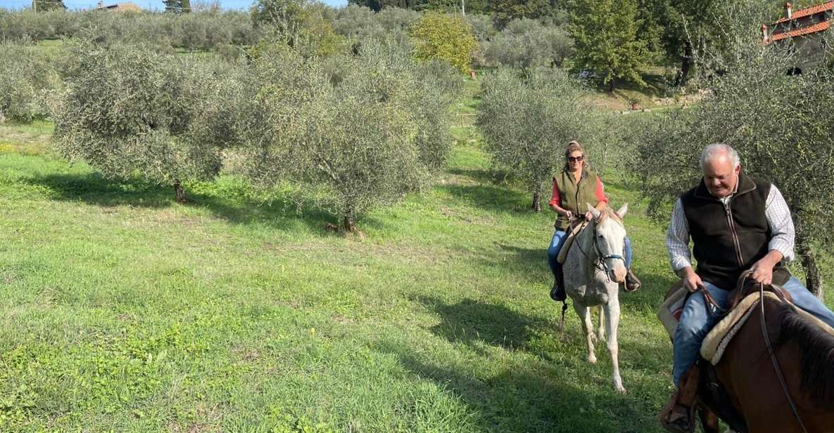 From Florence: Horseback Ride and Olive Oil and Food Tasting - Highlights of the Experience