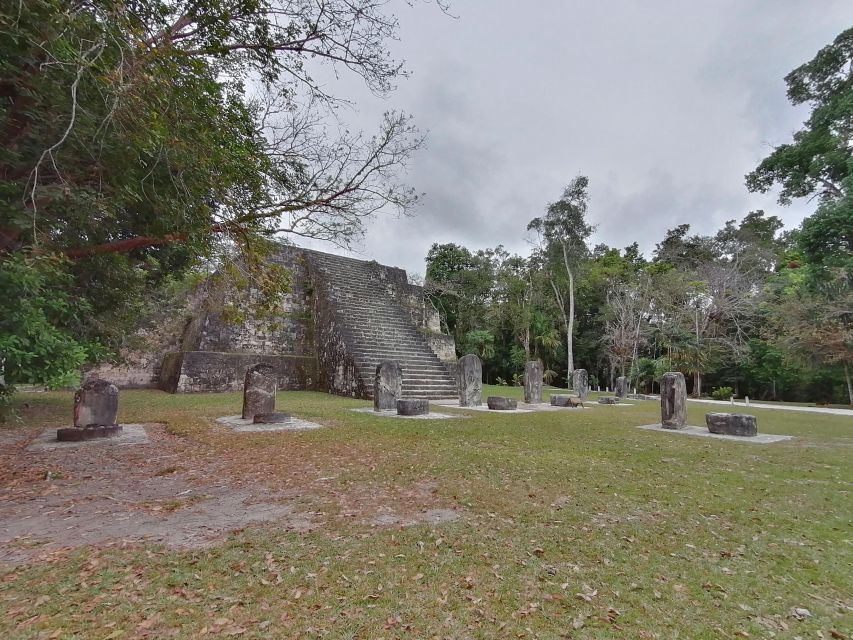 From Flores: Tikal Private Tour for Groups - Tikal National Park Facts