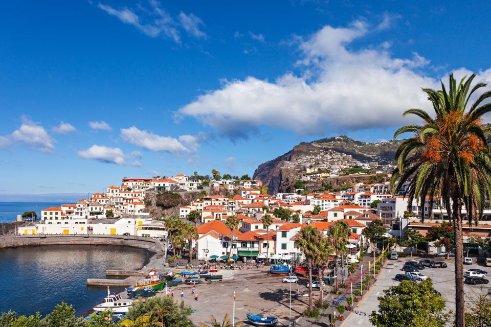 From Funchal: Best of Madeira Tour (Half-Day Tour) - Panoramic Views From Pico Dos Barcelos