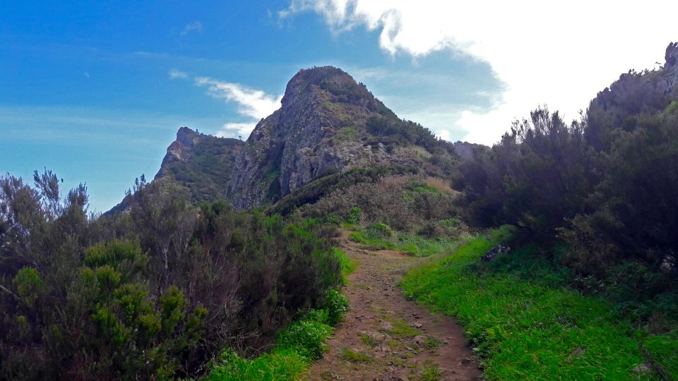 From Funchal: Machico to Porto Da Cruz Hike - Booking Information