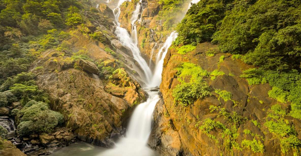 From Goa: Dudhsagar Waterfalls & Plantation Tour - Itinerary Highlights