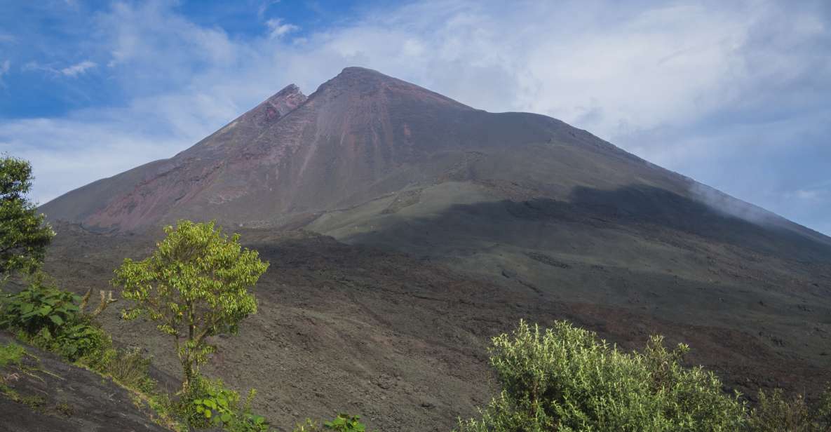 From Guatemala City or Antigua: Pacaya Volcano Day Tour - Hiking Options