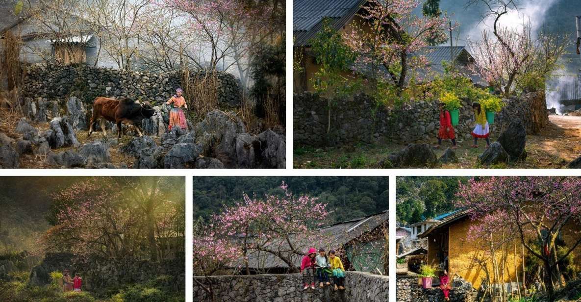 From Hanoi: Ha Giang Loop 3 Days 3 Nights With Easy Rider - Itinerary Highlights