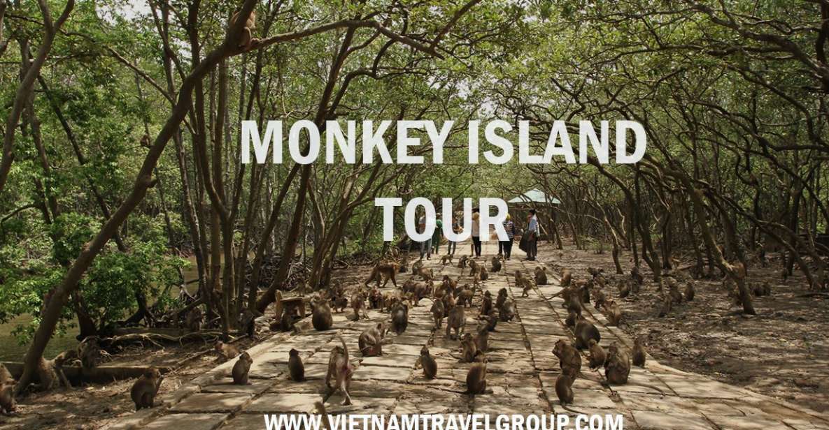 From Ho Chi Minh City: Can Gio Mangrove Guided Forest Tour - Itinerary Highlights