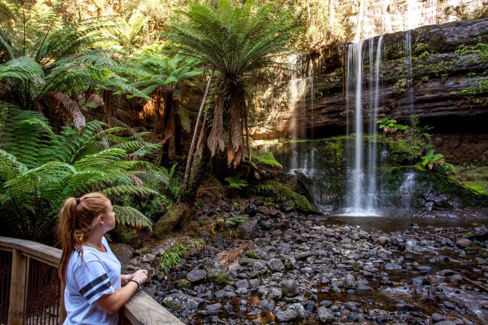 From Hobart: Mt. Field, Mt. Wellington and Wildlife Day Tour - Tour Highlights