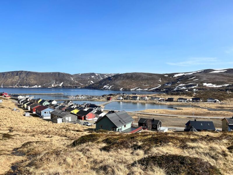 From Honningsvåg: North Cape and King Crabs Tour - Itinerary and Highlights