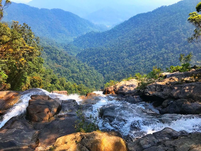From Hue: Bach Ma National Park Private Car Transfer - Biodiversity and Ecosystems