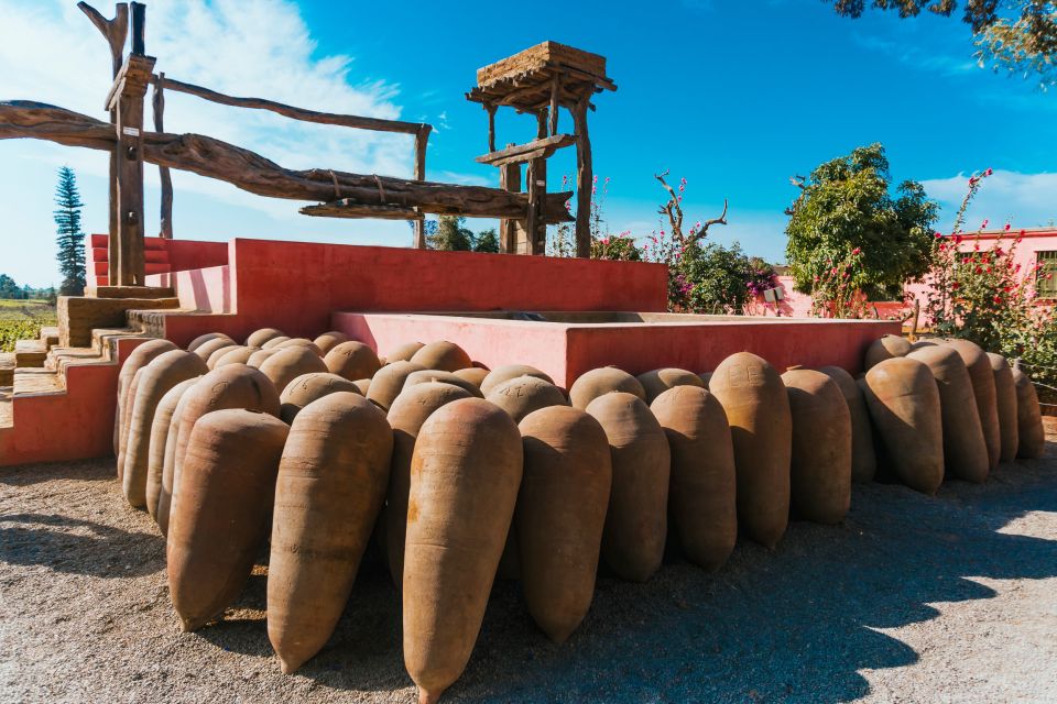 From Ica or Huacachina: Wine and Pisco Vineyards Tour - Experience Highlights