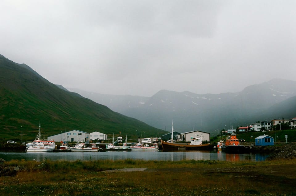 From Ísafjörður Port: Private Ísafjörður Tour - Itinerary Highlights