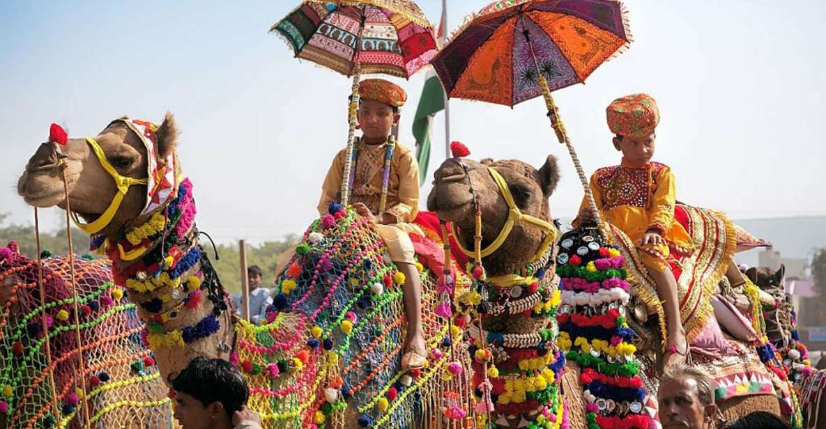 From Jaipur: One-Day Trip From Jaipur to Pushkar - Itinerary and Experience