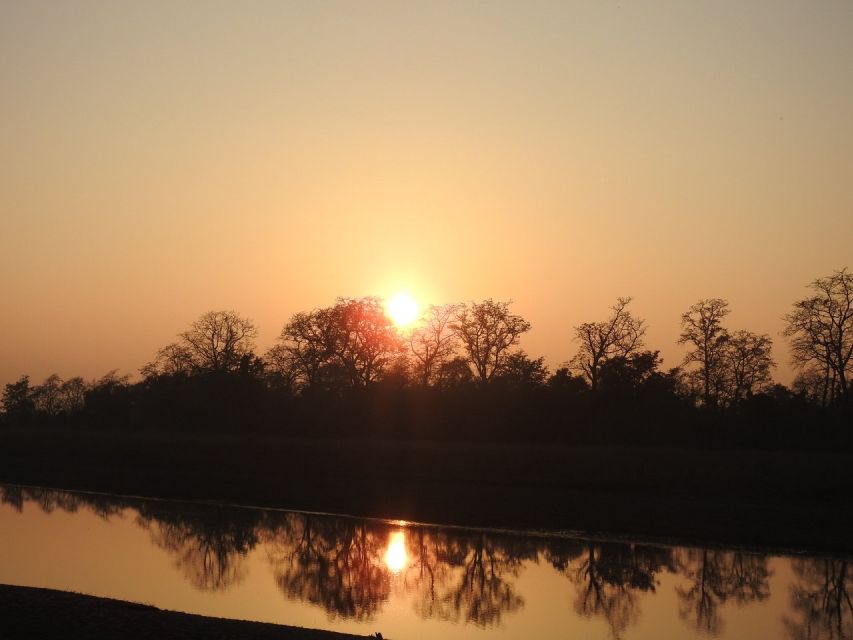 From Kathmandu: Guided 3-Days Bardia National Park Tour - Day 2: Wildlife Adventures