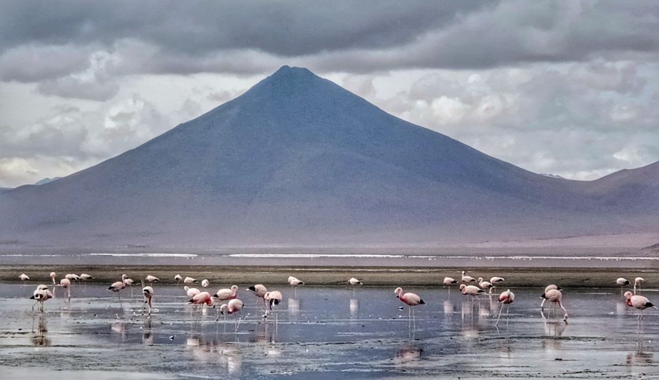From La Paz: 2-Day Uyuni Salt Flats & Red Lagoon by Flight. - Detailed Itinerary