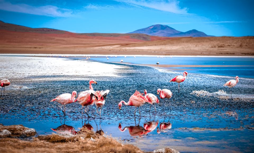 From La Paz: 4-Day Trip to San Pedro De Atacama W/Salt Flats - Itinerary Highlights