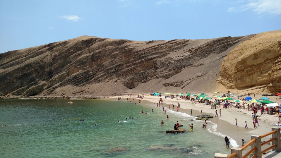 From Lima: Ballestas Islands & Paracas Reserve With Meals - Highlights of the Journey