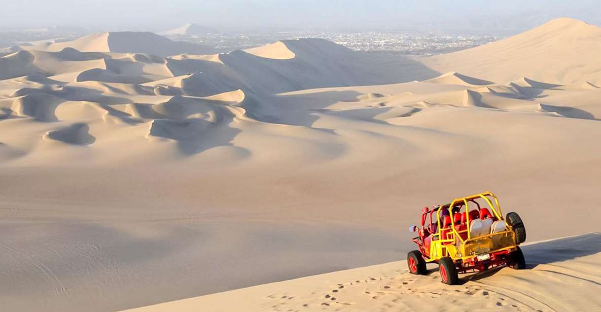 From Lima: Tour to Paracas, Ica, and Huacachina - Itinerary Highlights