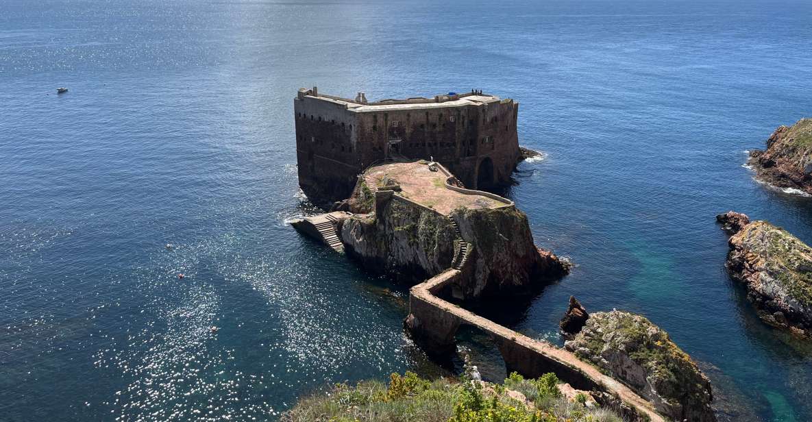 From Lisbon: Berlenga Grande Sightseeing Tour - Inclusions