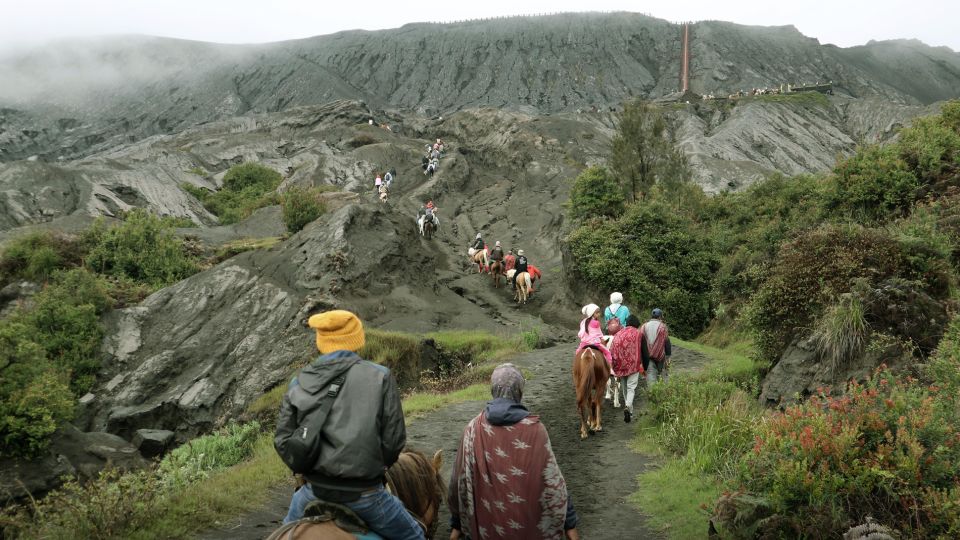 From Malang: Ultimate Mount Bromo National Park Sunrise Tour - Group Size and Language Support