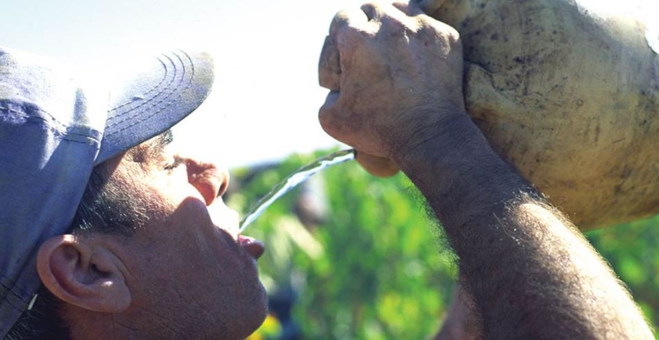 From Marbella: Axarquia Wine Tour With Wine Pairing Lunch - Booking Information