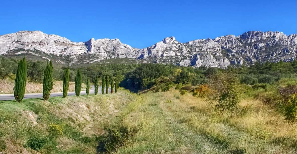 From Marseille: Full-Day Les Baux De Provence Wine Tour - Experience Highlights