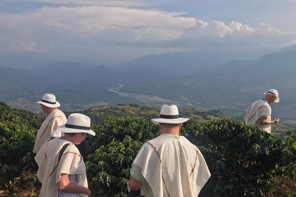 From Medellin: Full Day Fredonia Coffee Private Tour - Itinerary Highlights