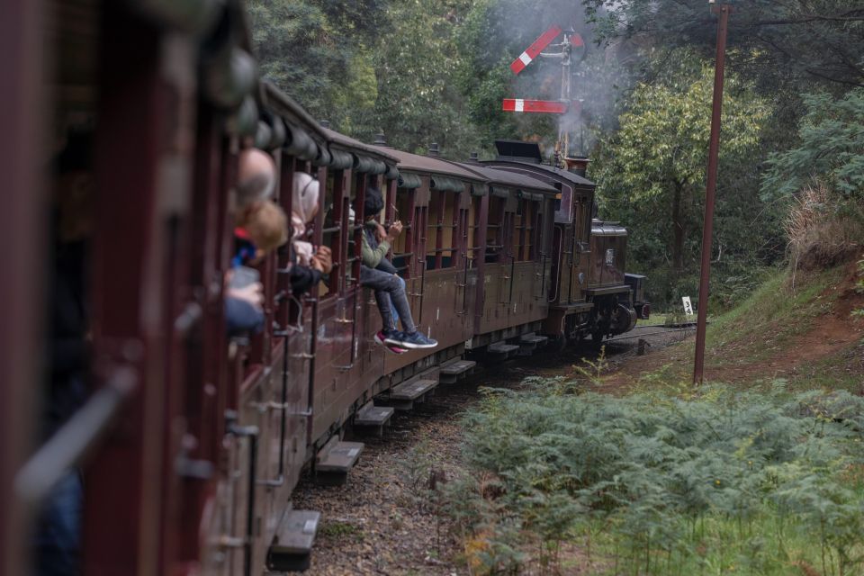 From Melbourne: Puffing Billy & Moonlit Sanctuary Tour - Duration and Inclusions