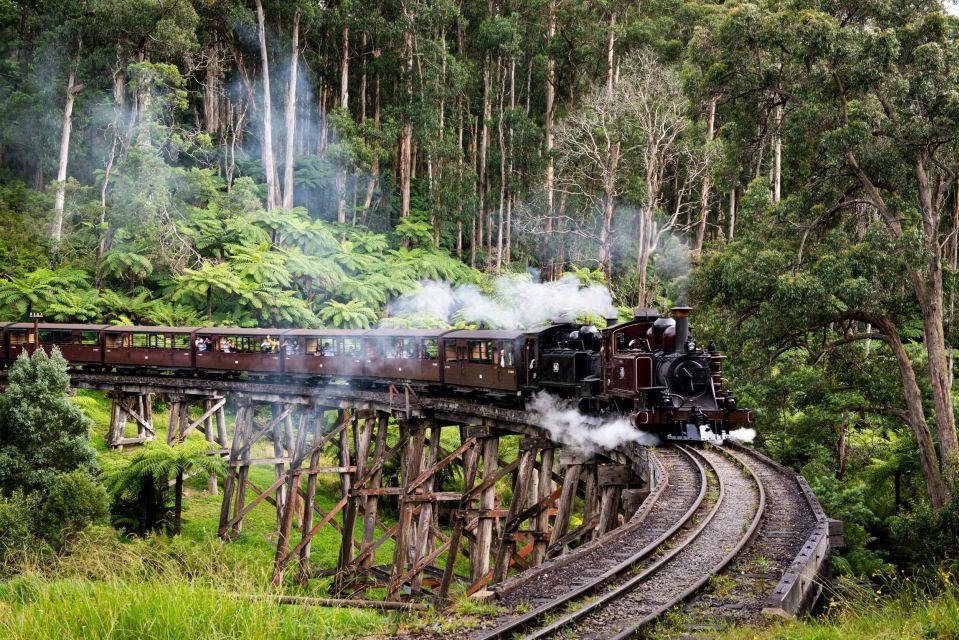 From Melbourne: Puffing Billy Train & Penguins Wildlife Tour - Highlights